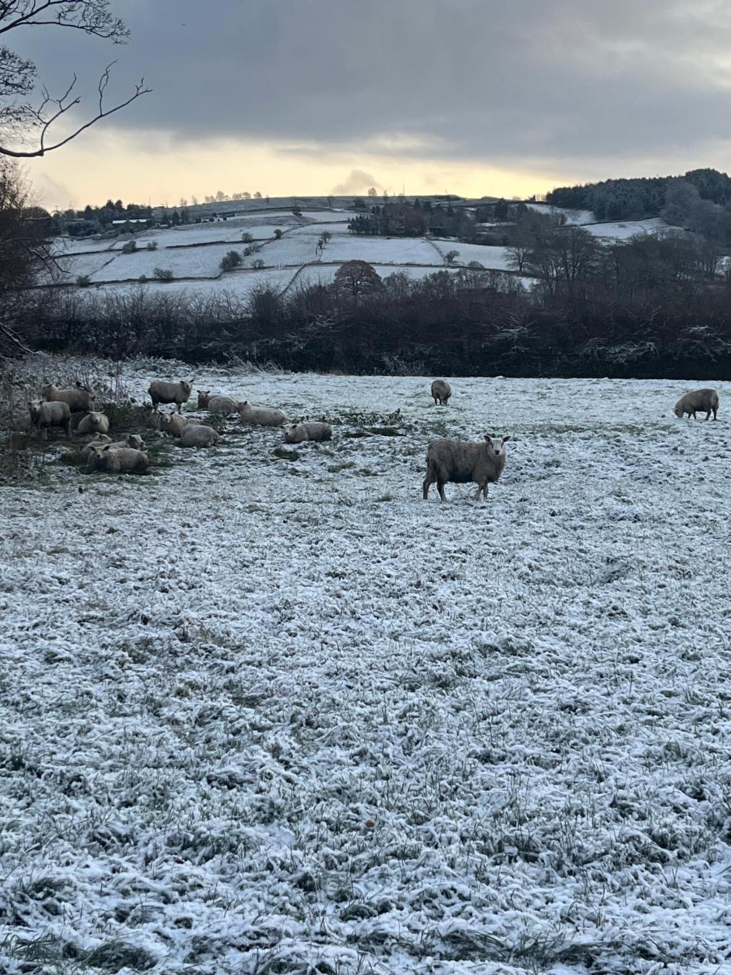 Bents Holiday Cottage Oxenhope 外观 照片