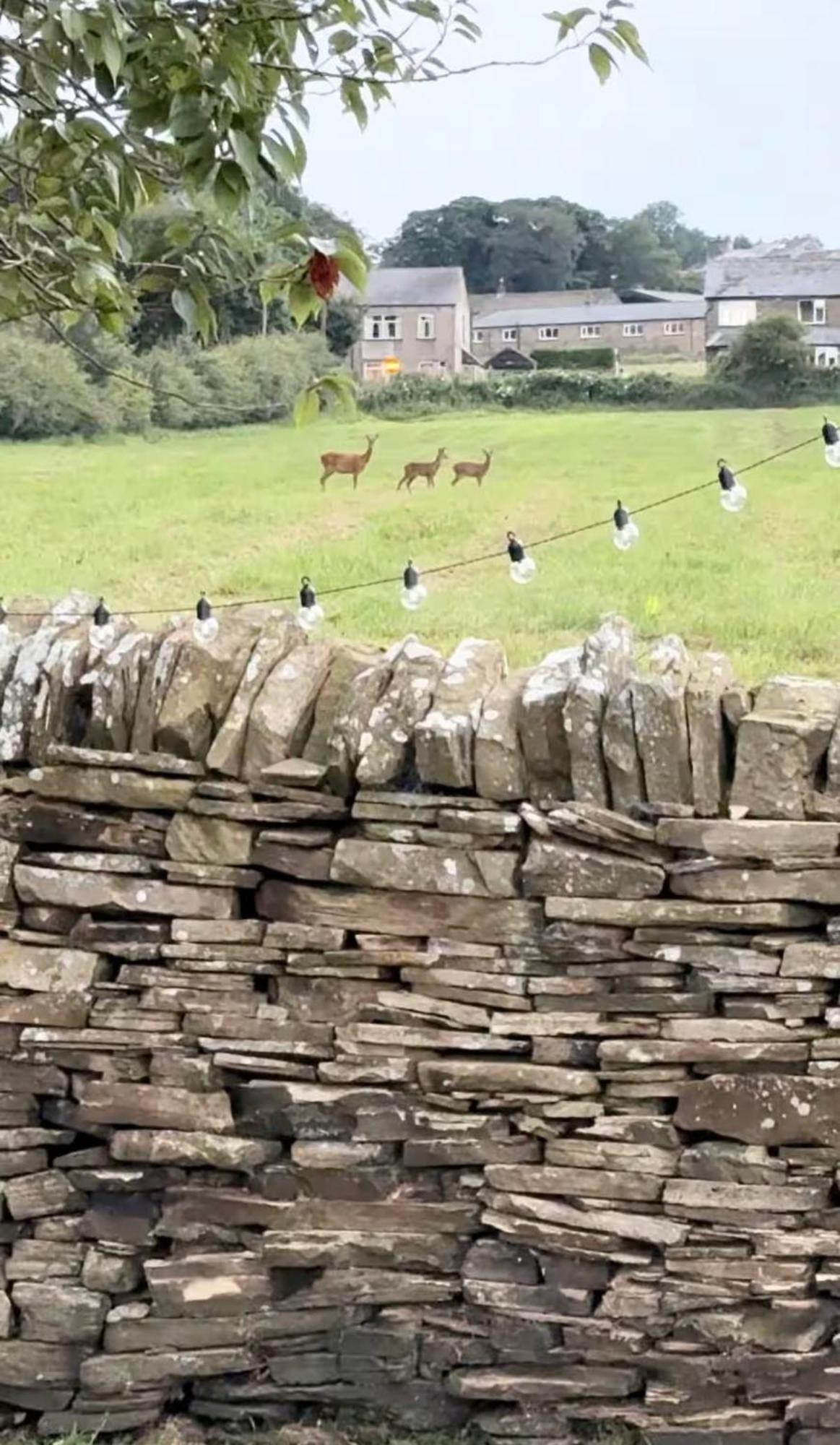 Bents Holiday Cottage Oxenhope 外观 照片